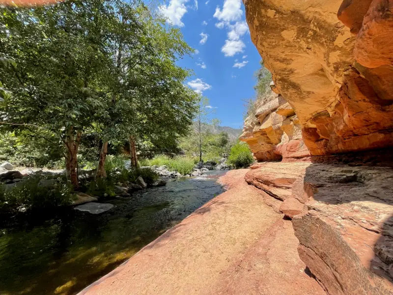 A stream beside red rock and shaded trees.