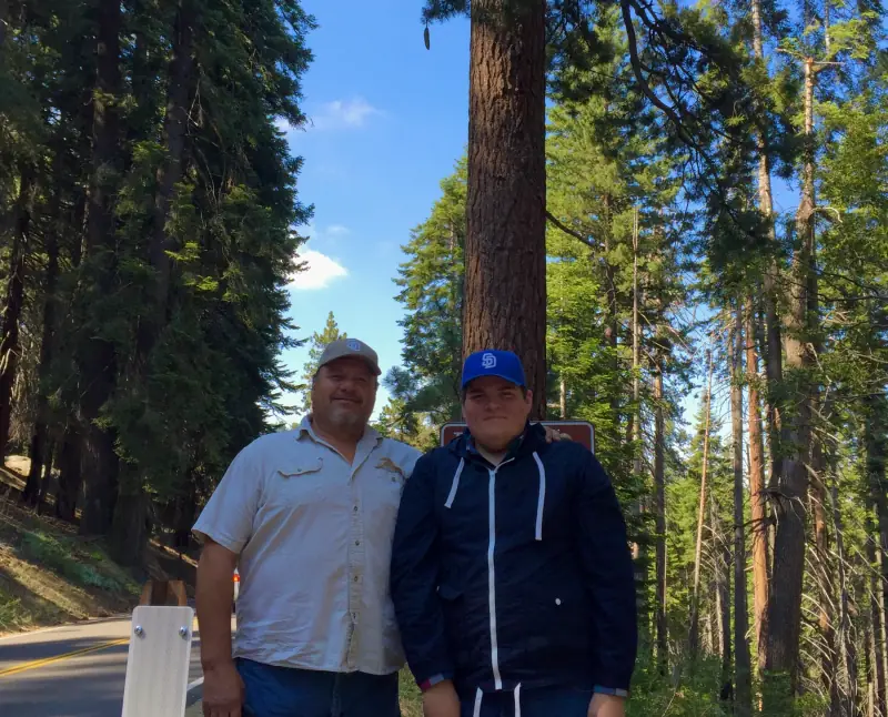 Together among the trees.