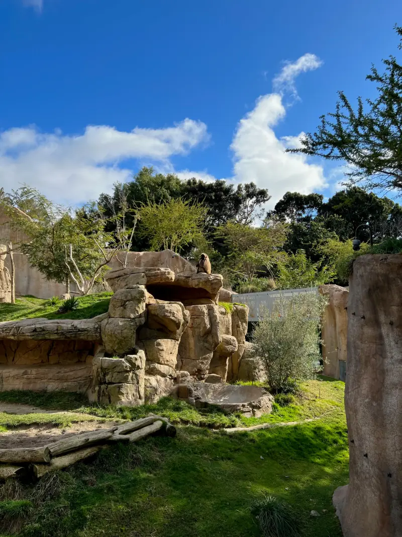 Waterfall and rockwork at the park.