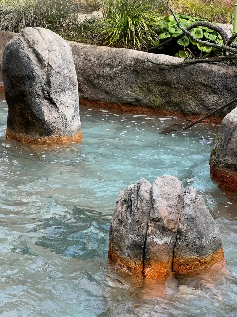 Clear water among the rocks.